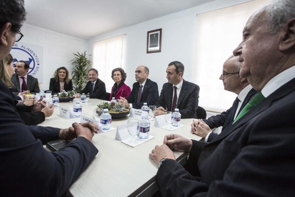 La Reina Sofía visita el Banco de Alimentos de Alicante