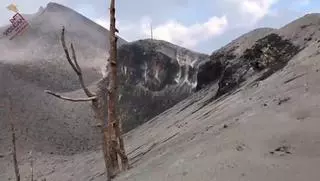 Últimos vídeos de la erupción del volcán en La Palma