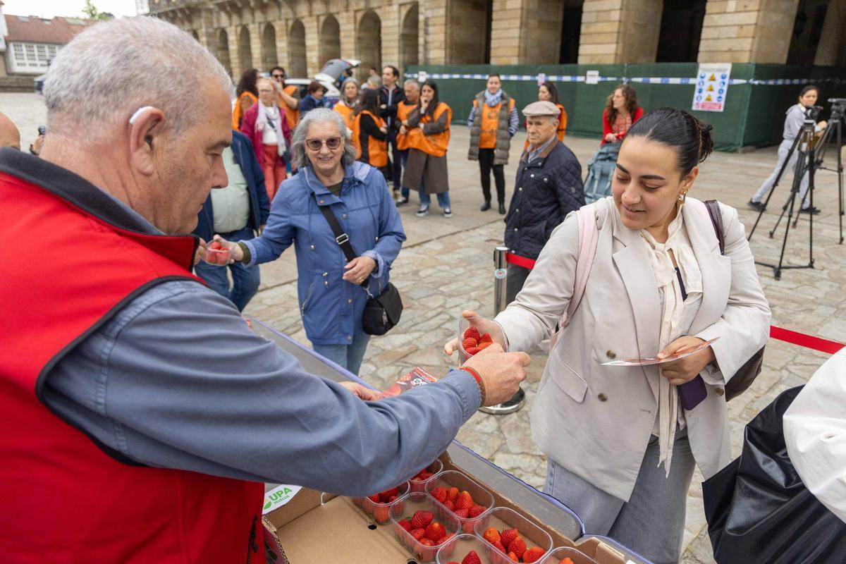 Reparten fresas de Huelva en la plaza del Obradoiro para promover su "calidad y garantía"