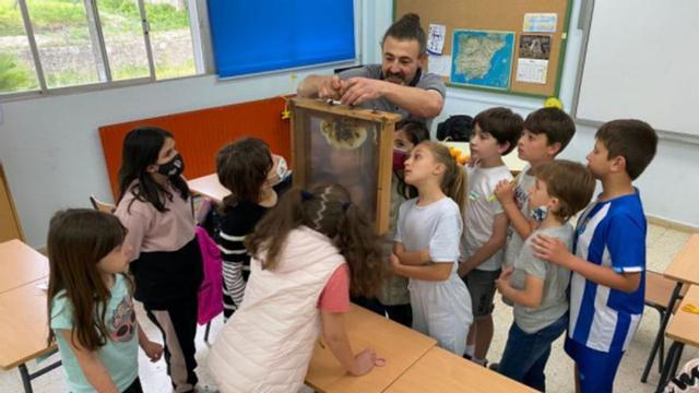Estudiantes del Villar Paramá interactuando con un enjambre de abejas.