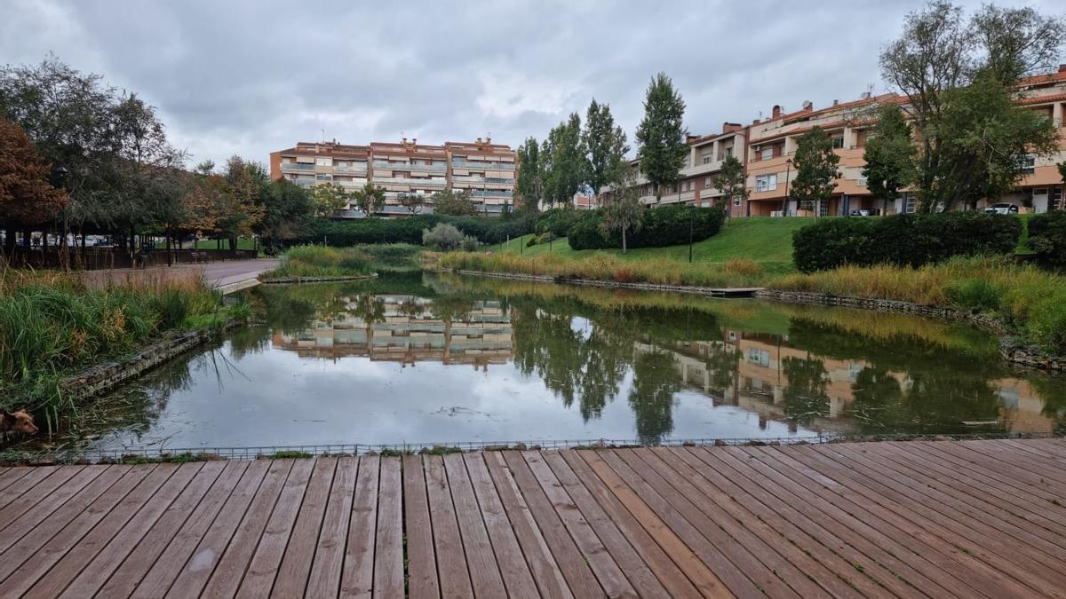 Llac artificial d&#039;Olesa on s&#039;ha trobat un brot del cargol poma