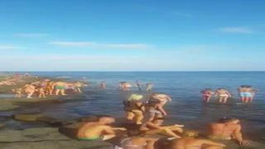 Una veintena de mantarrayas se acercan a la orilla en la playa de Salinetas (I)