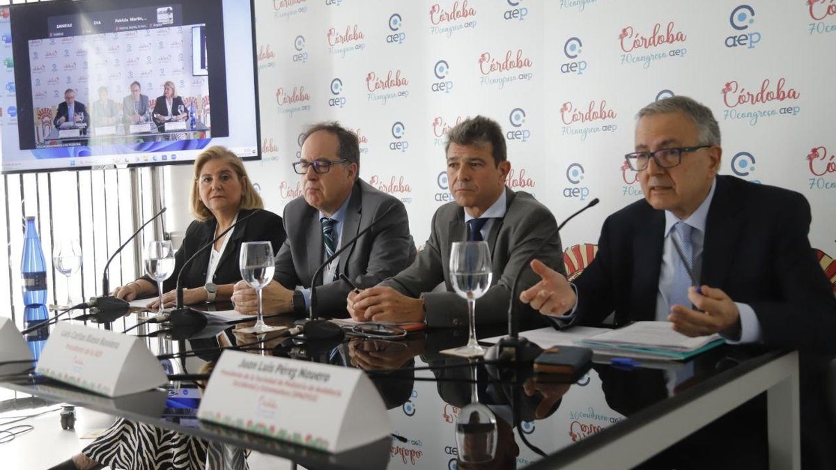 Rosa María Paredes, Juan José Díaz, Luis Carlos Blesa y Juan Luis Pérez Navero, en el congreso de la AEP que acoge Córdoba.