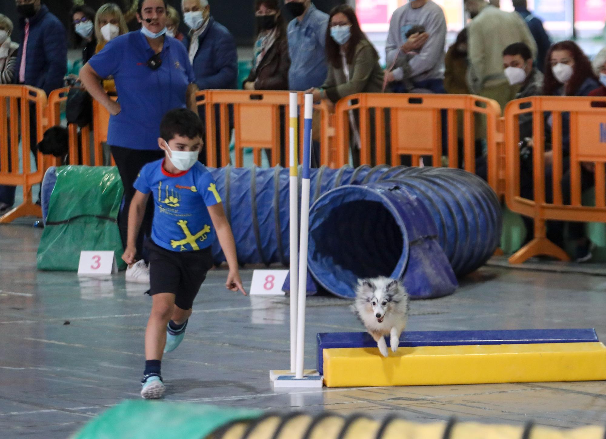 El recinto ferial acoge una nueva edición de Espacio Mascotas