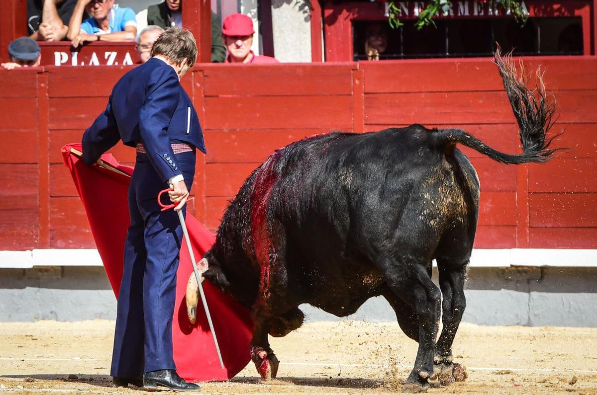 La naturalidad y la torería de un maestro del toreo: un natural de Curro Vázquez en Madrid el 12 de octubre
