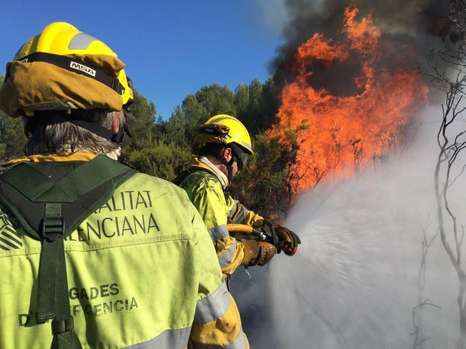 Incendio forestal en Cabanes