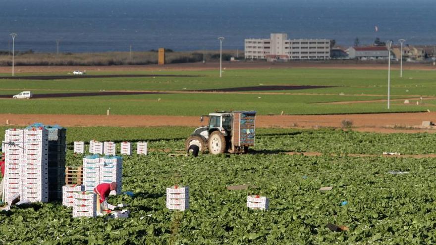 La UPCT mejora el uso del yeso agrícola para evitar la contaminación por nitratos