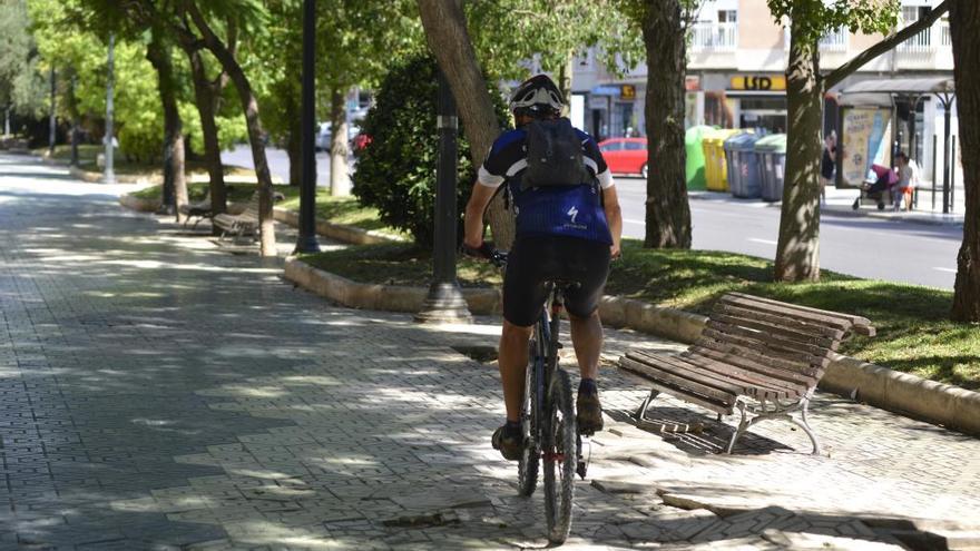 El Ayuntamiento de Cartagena arreglará la Alameda para poner fin al riesgo de caídas