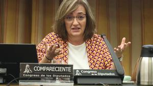 La presidenta de la Airef, Cristina Herrero, en una comparecencia en el Congreso de los Diputados.