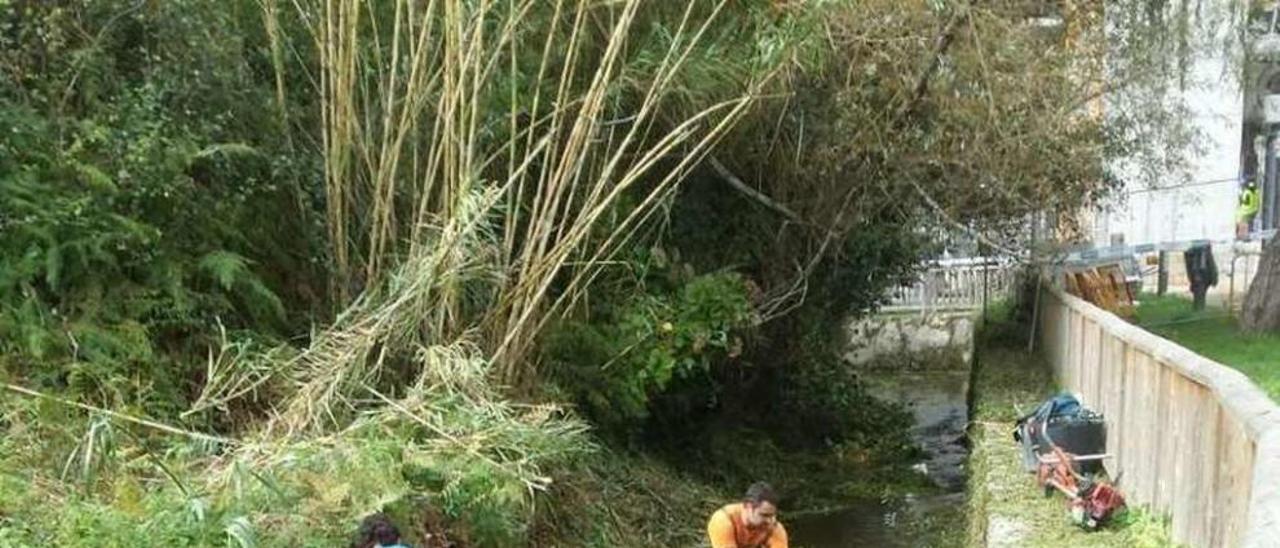 Las labores de limpieza comenzaron en el río Lameira. // S.A.