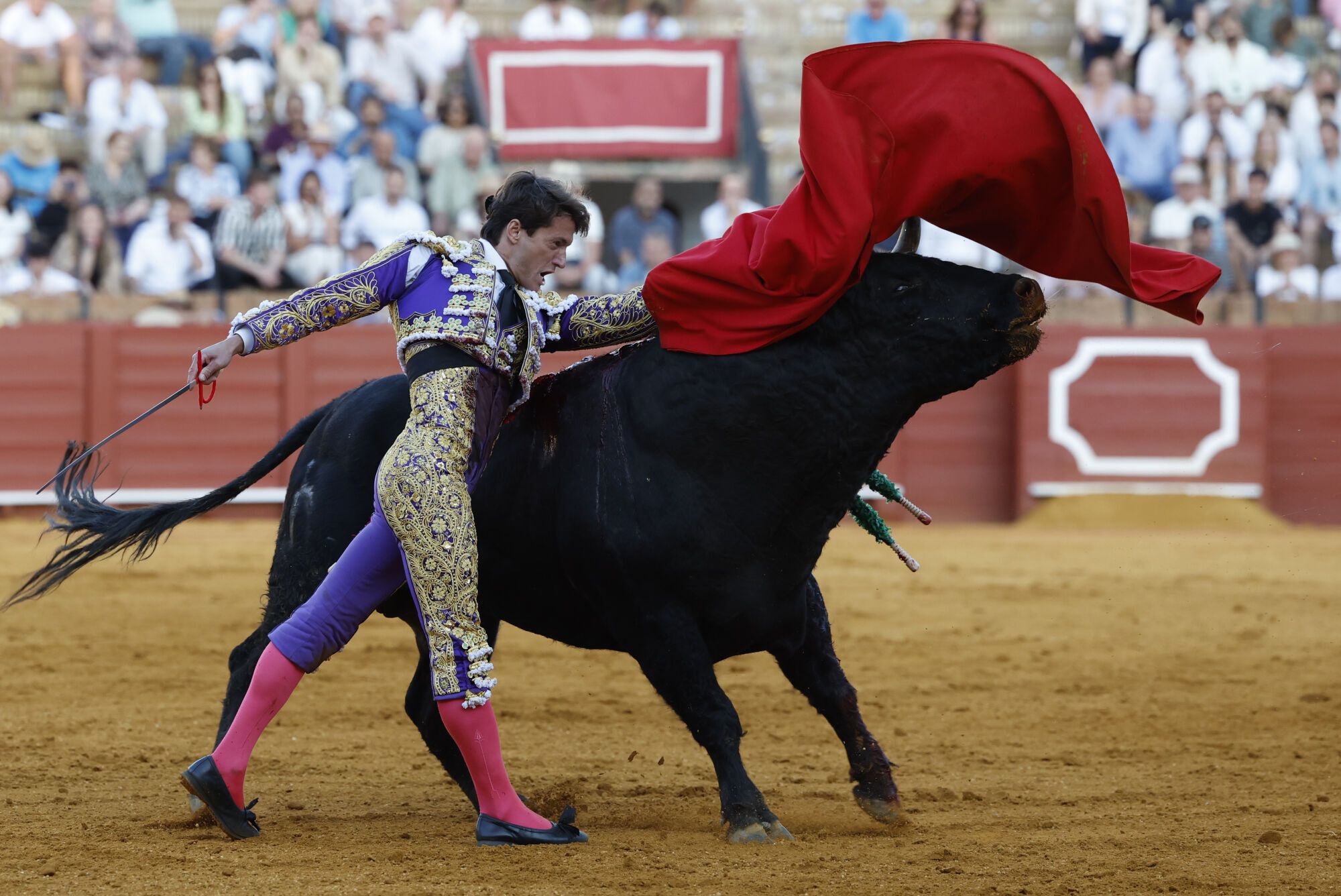SEVILLA, 27/04/2025.- El diestro Lama de Góngora con su segundo toro de la tarde, al que cortó una oreja, durante el festejo taurino celebrado hoy domingo en la Real Maestranza de Sevilla. EFE/ Julio Muñoz.