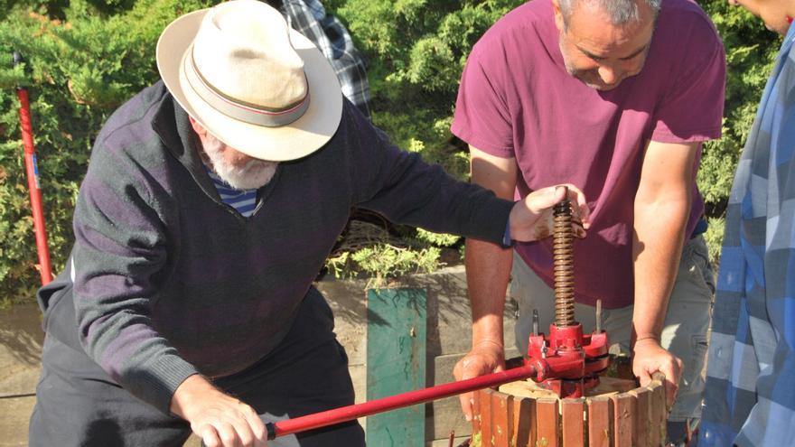 El petit poble de la Guàrdia Pilosa fa la verema en un particular projecte de vinya