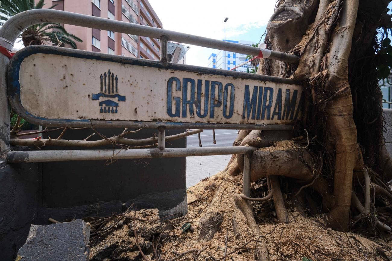 Cartel antiguo del barrio de Miramar que ha quedado entre las ramas de un árbol