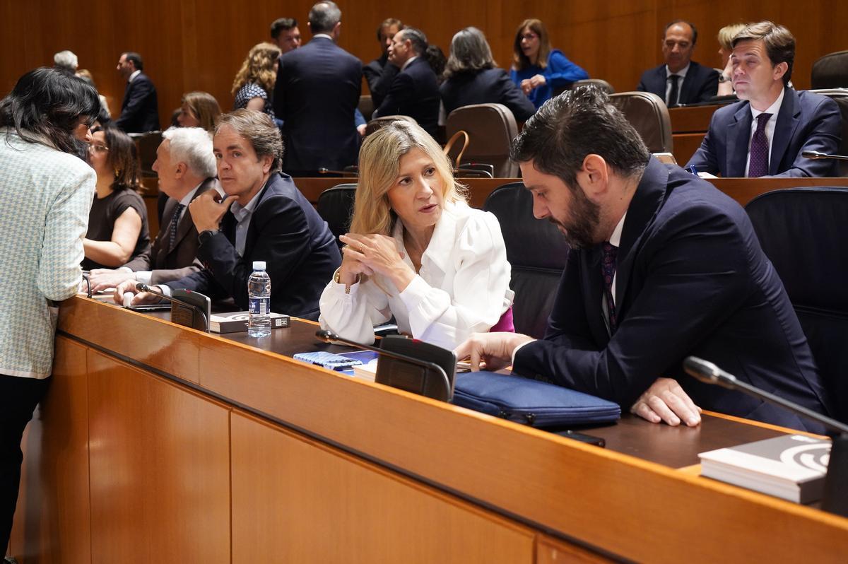 Los vicepresidentes Mar Vaquero y Alejandro Nolasco, en un pleno de las Cortes.