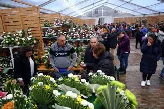 El Mercado de las Flores de Cambados ya está en marcha