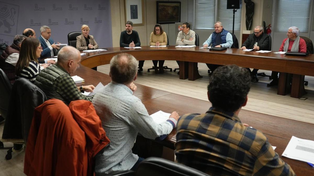 Comisión Territorial de Mejoras de Montes de Zamora, reunida en la Junta