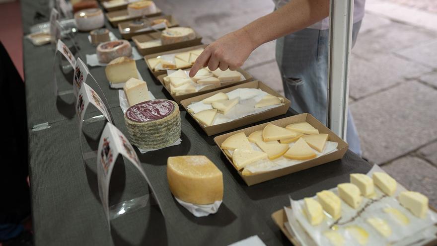 La feria del queso Fromago 2024 confirma fechas y sede en Zamora, pero busca financiación