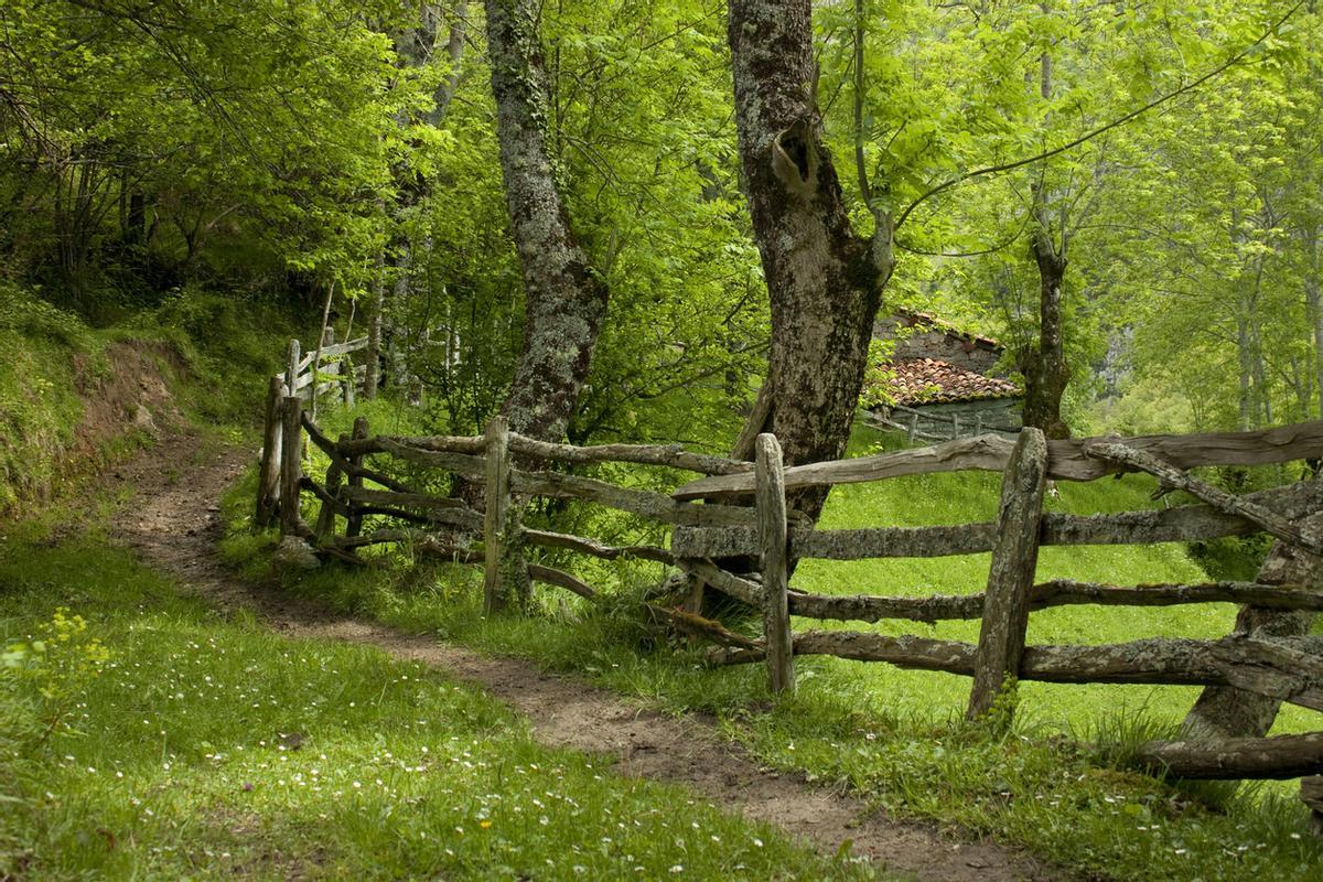 Caminos rurales en el interior de Asturias