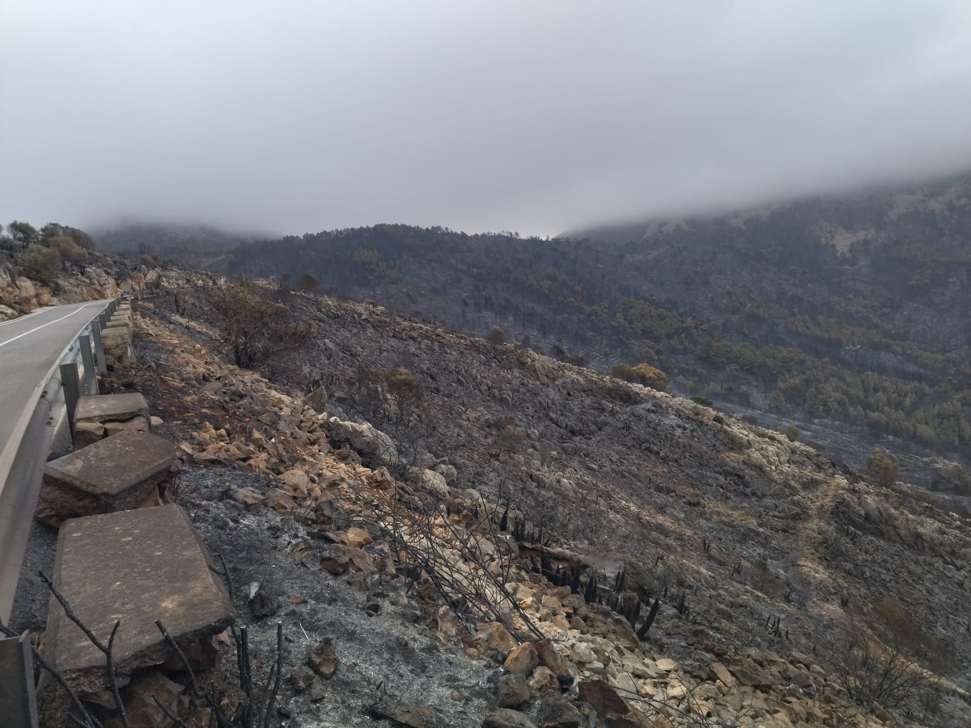 La destrucción del incendio de Tàrbena, en imágenes