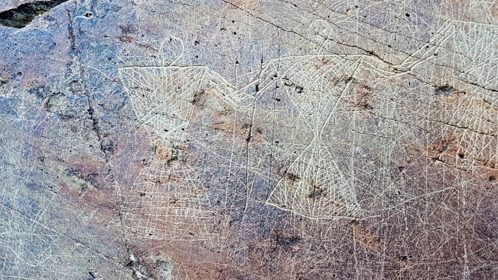 Descobreixen a la Vall d'Àssua centenars de gravats a la pedra de l'Edat mitjana