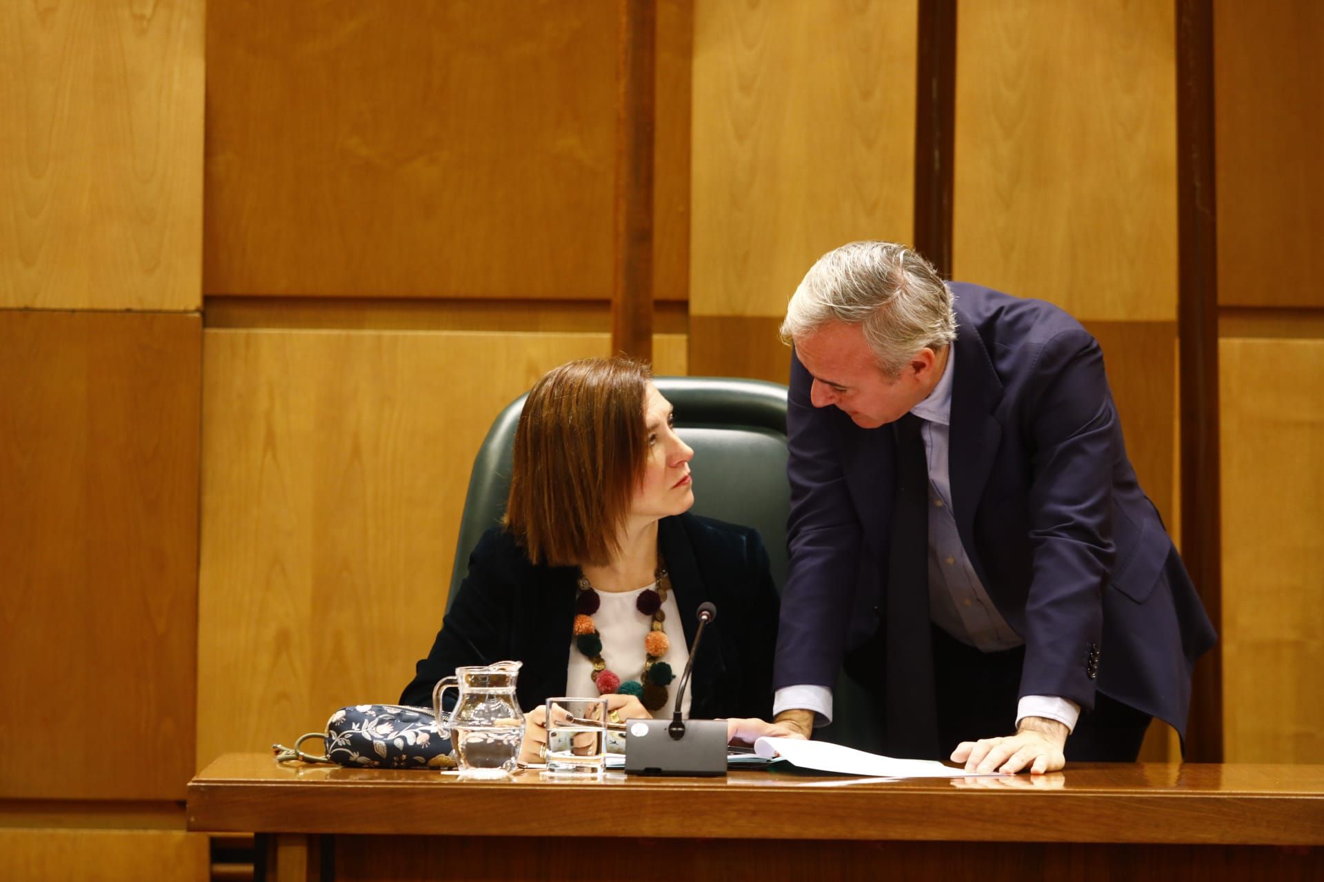 Fotogalería | Pleno del Ayuntamiento de Zaragoza con el futuro de La Romareda en juego