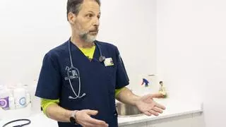 "No podemos alimentar a las mascotas con la comida que nos sobra en el plato"