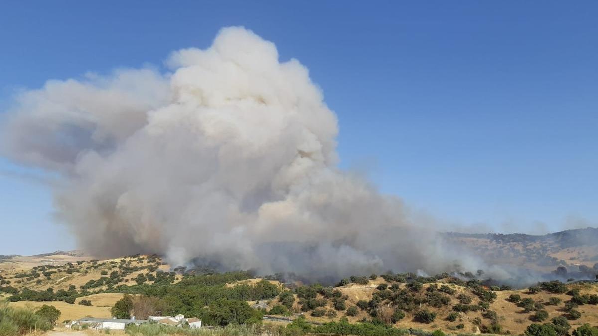 Columna de humo del incendio de Olvera que se ha extendido a Cañete La Real.