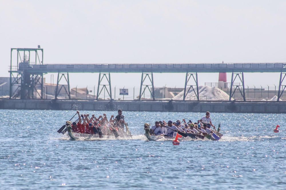 Festival Dragon Boat Torrevieja