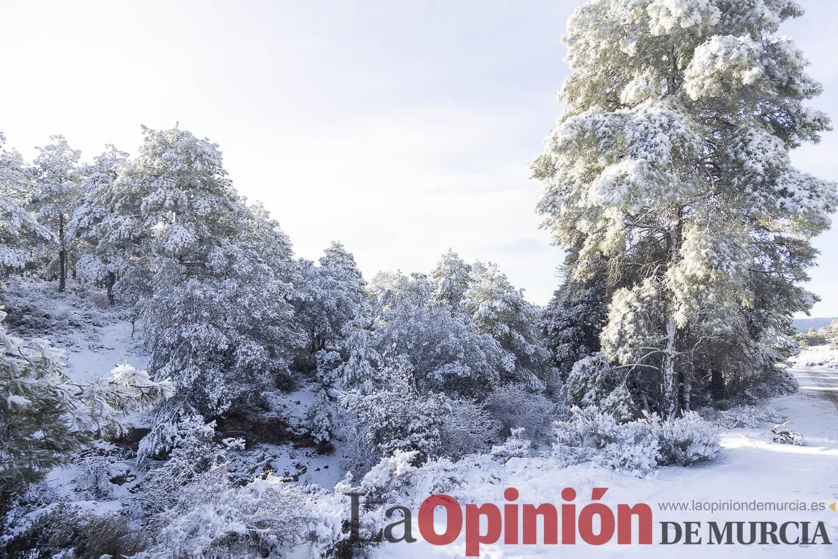 Descubre dónde queda acumulación de nieve en la Región de Murcia