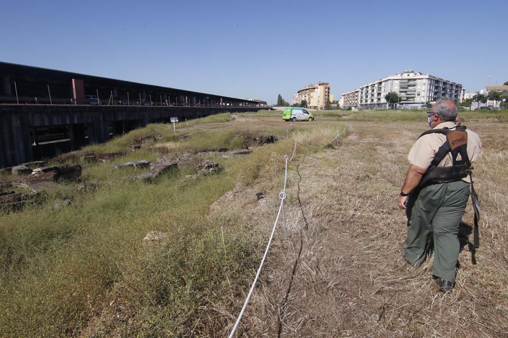 Urbanismo y Sadeco inician la limpieza del yacimiento de Cercadilla