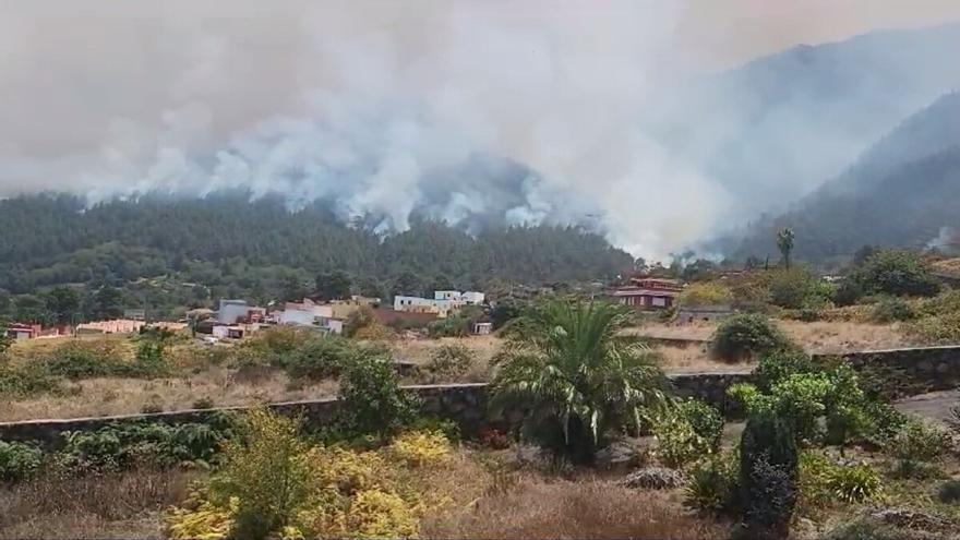 Preocupa el avance del fuego en Aguamansa