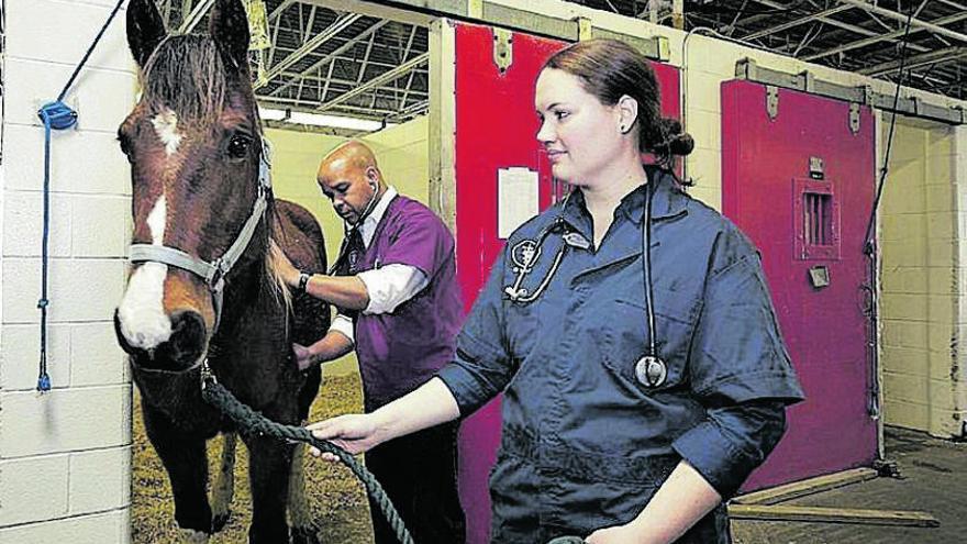 Anticuerpos de caballo contra el covid-19