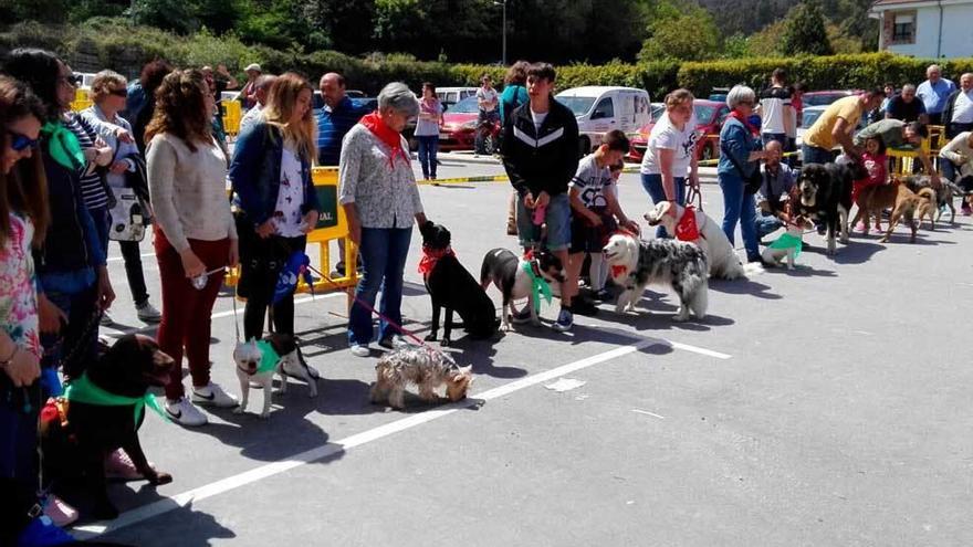 Varios perros junto a sus dueños en Nueva.