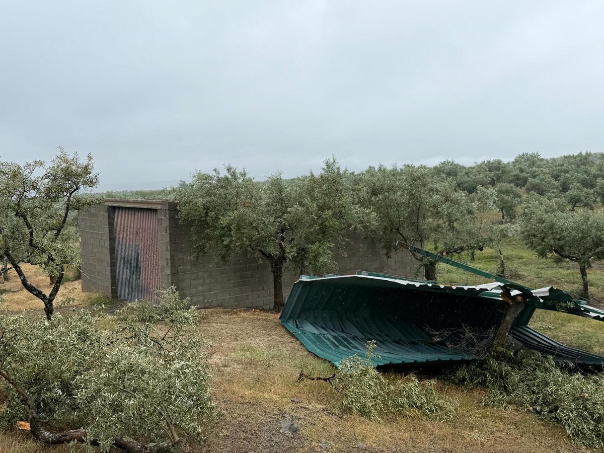 Daños del tornado.