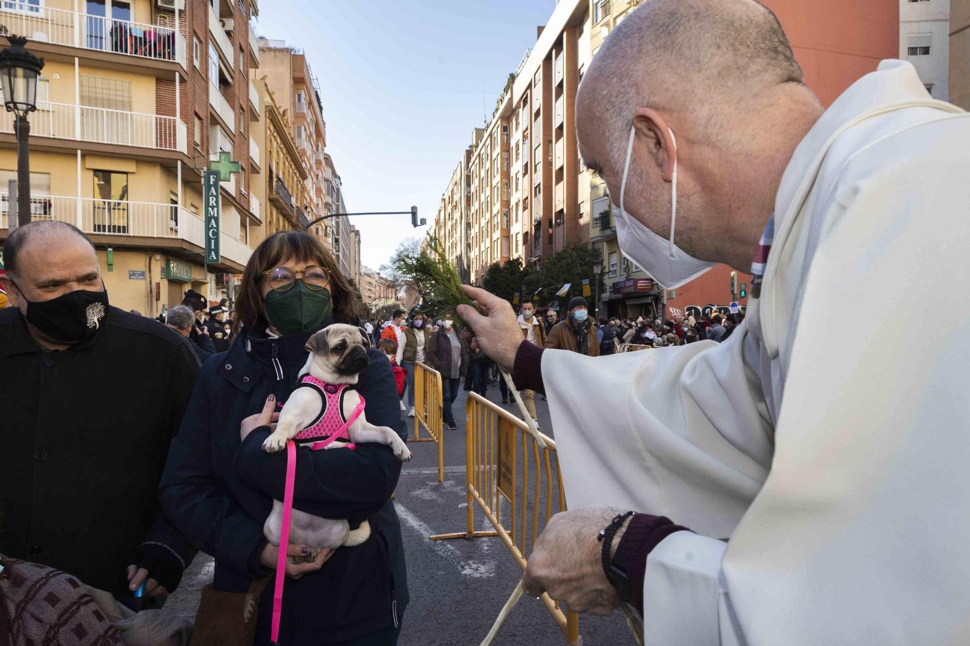 Búscate en la bendición de animales de Sant Antoni