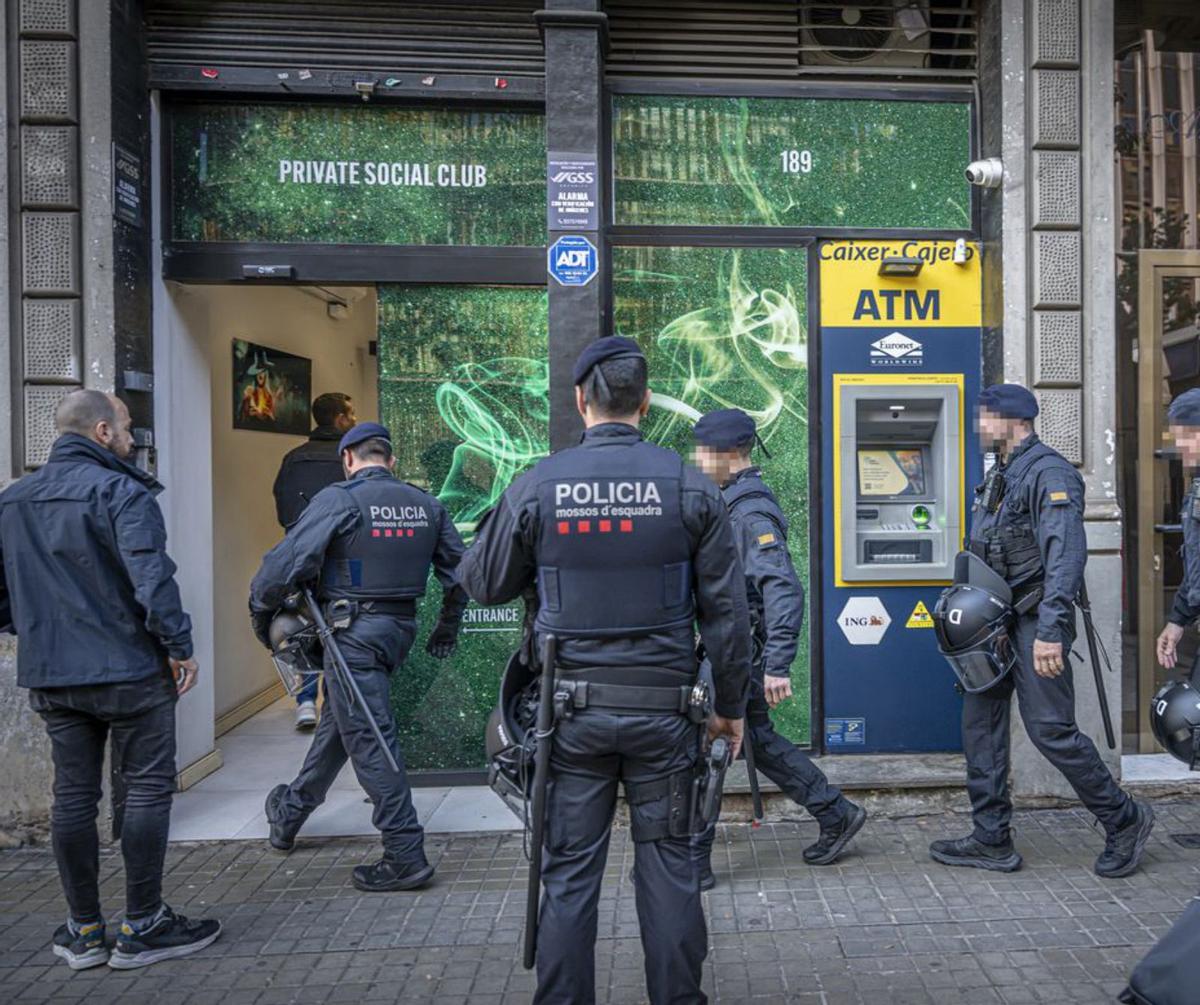 La persecució judicial dels clubs cannàbics es dispara La persecució judicial dels clubs cannàbics es dispara