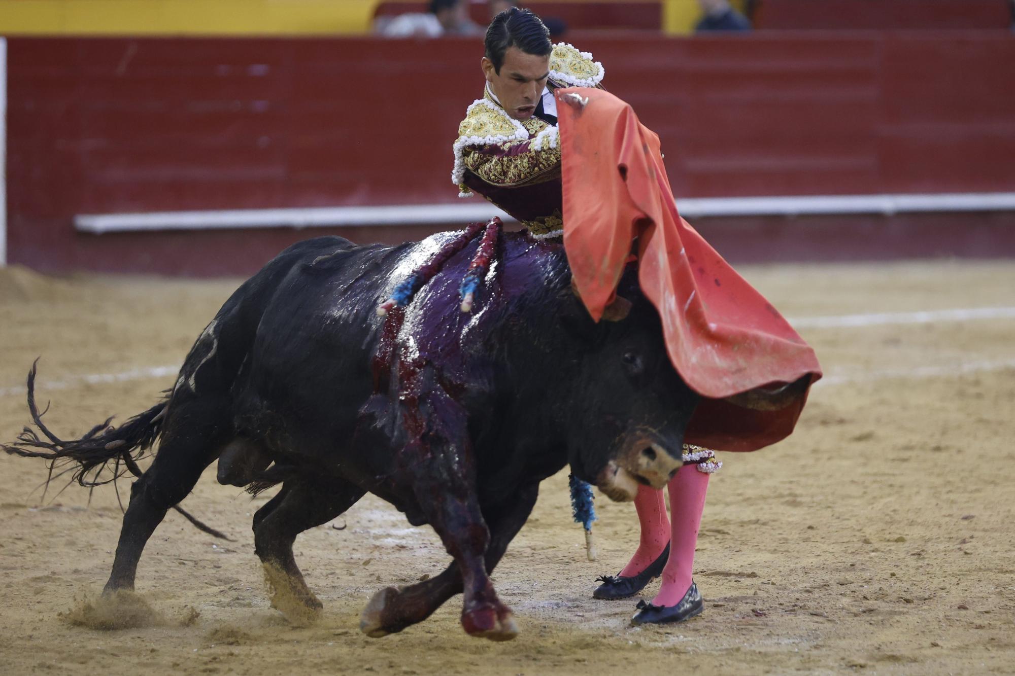 El triunfo de Manzanares y Tomás Rufo en las Fallas 2023