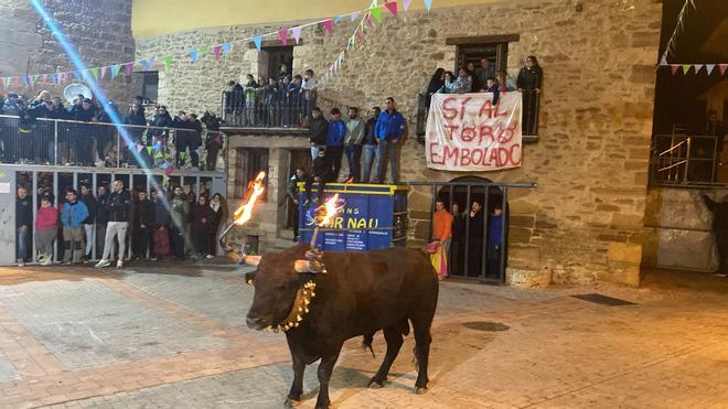 Seis toros embolados en Olocau