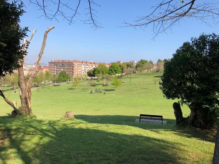 Correr por Gijón 5: Los Pericones