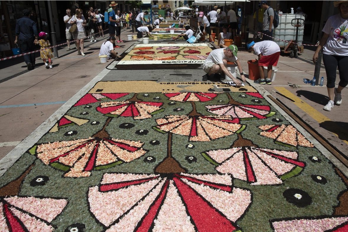 Catifes de flors d'Arbúcies