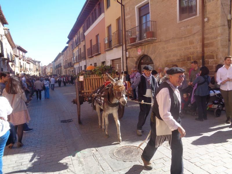 Desfile de carros en La Vendimia 2016 (Toro)