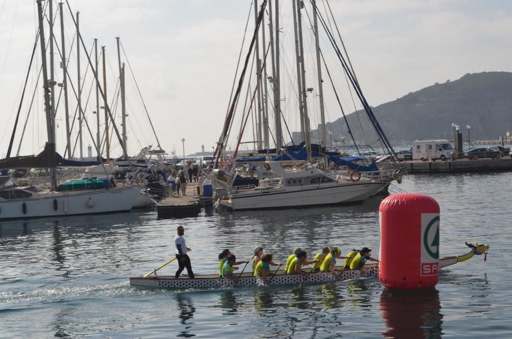 Dragon Boat de Cartagena