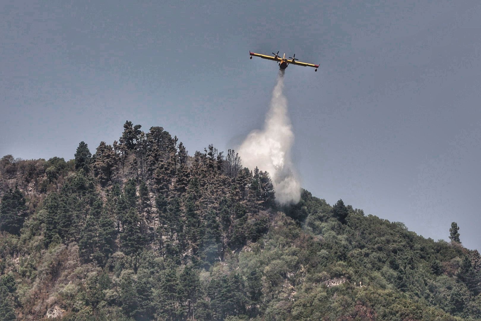 Siguen las tareas de extinción del incendio de Tenerife