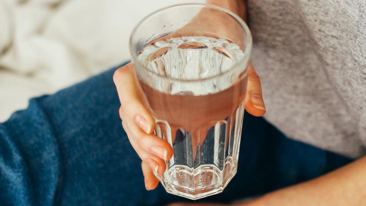 El agua es la bebida básica del organismo