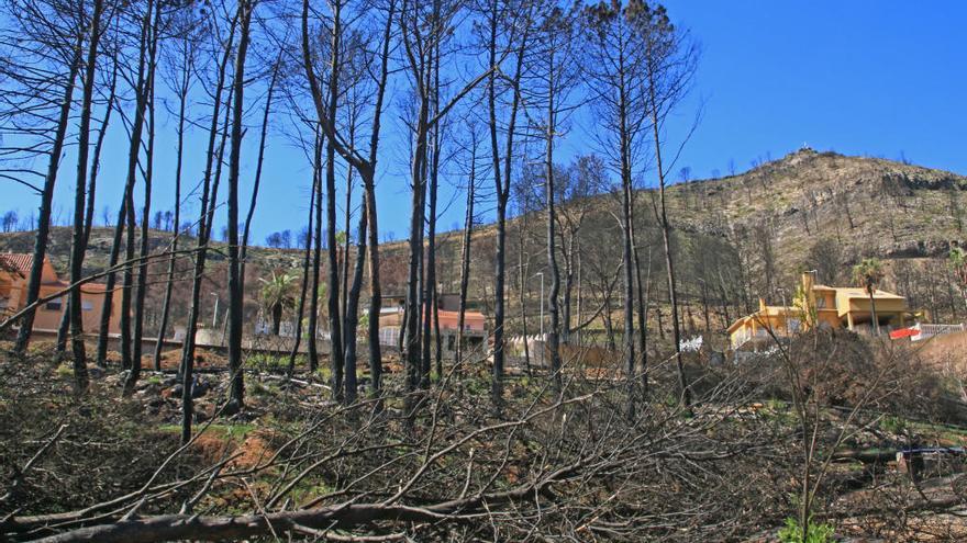 Un total de 365 incendios en lo que va de año queman 3.680 hectáreas