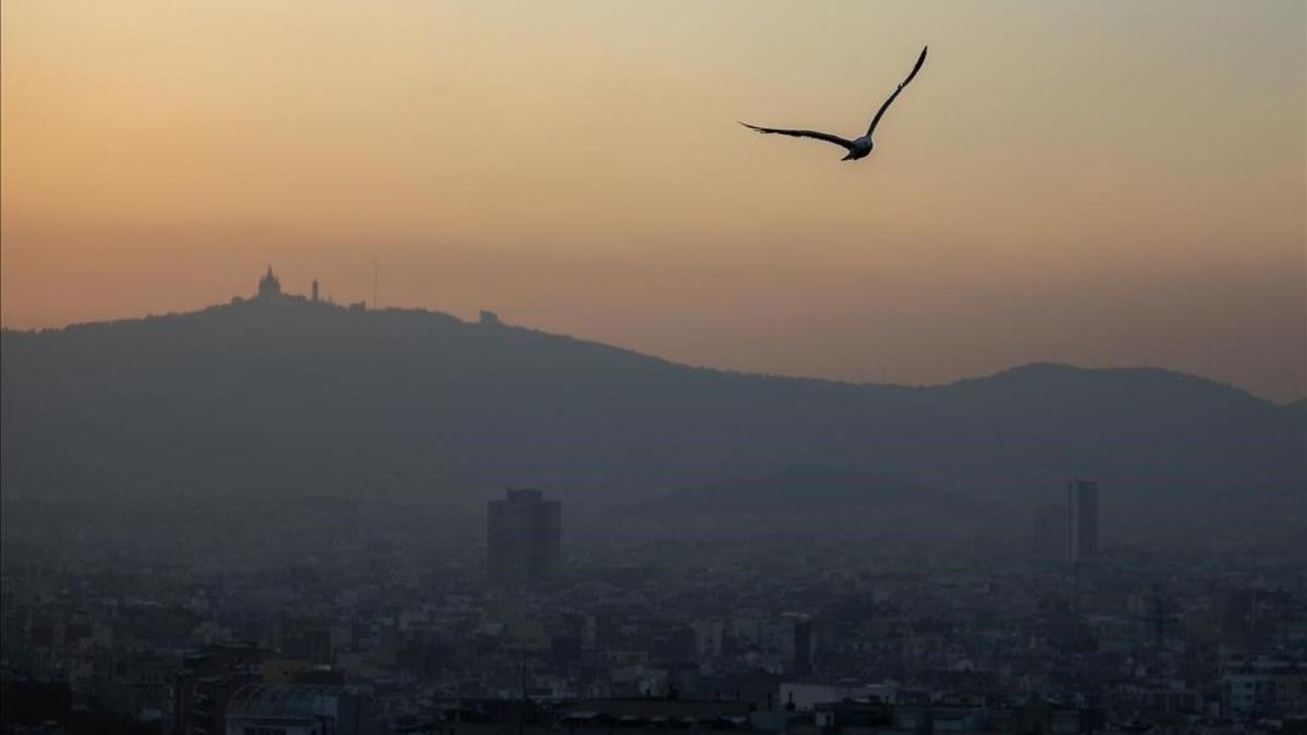 Contaminación atmosférica en Barcelona