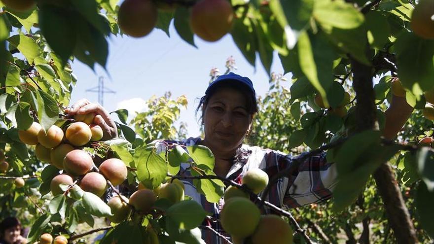 UAGA denuncia la situación «crítica» que viven los fruticultores en Aragón