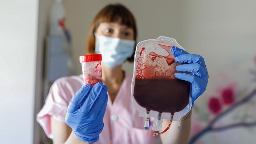 Can Misses, líder de Balears en donación de sangre de cordón umbilical