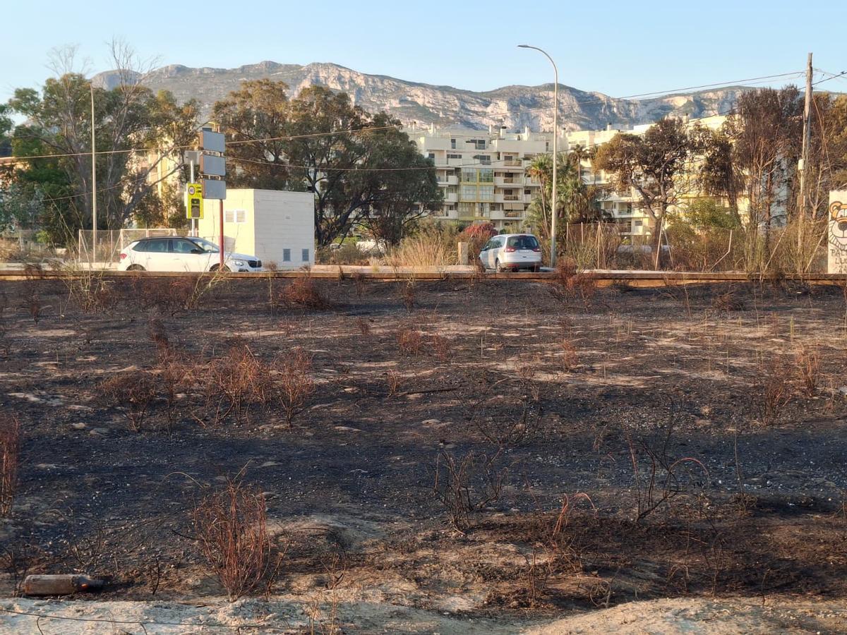 Un tramo de duna calcinado y escombros, abandono y cenizas: el estrago del incendio de Dénia junto a la playa del Raset
