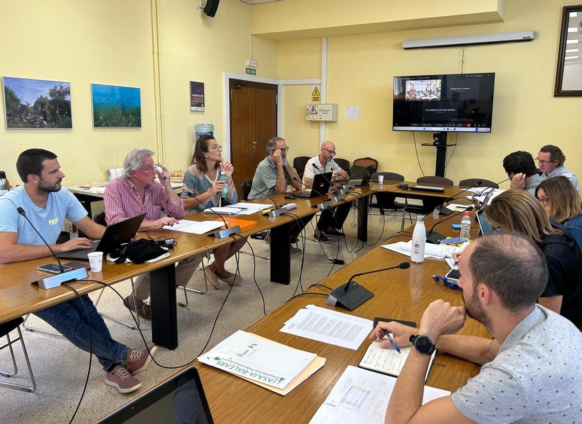 Mesa del sector de la algarroba.